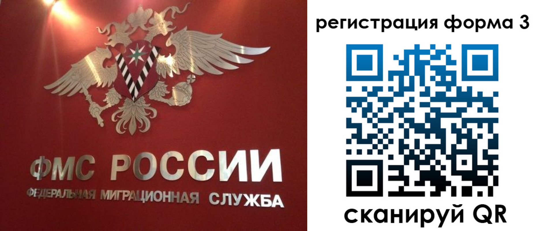 прописка гарантия в Шали